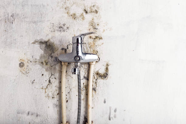 Best Mold Testing and Inspection Services in Waycross, GA