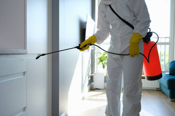 Best Industrial Mold Remediation in Waycross, GA