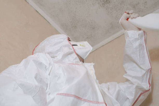 Best Residential Mold Remediation in Waycross, GA